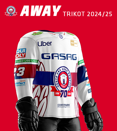 Eisbären Berlin Away Trikots 2024/2025