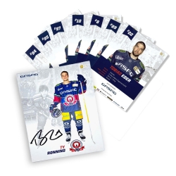 Eisbären Berlin - Autogrammkarten-Satz 2024-25 - SIGNIERT